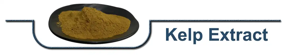 Kelp Extract .jpg